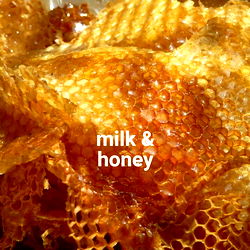 Honeycomb - A Delightful Display of Bees' Efforts