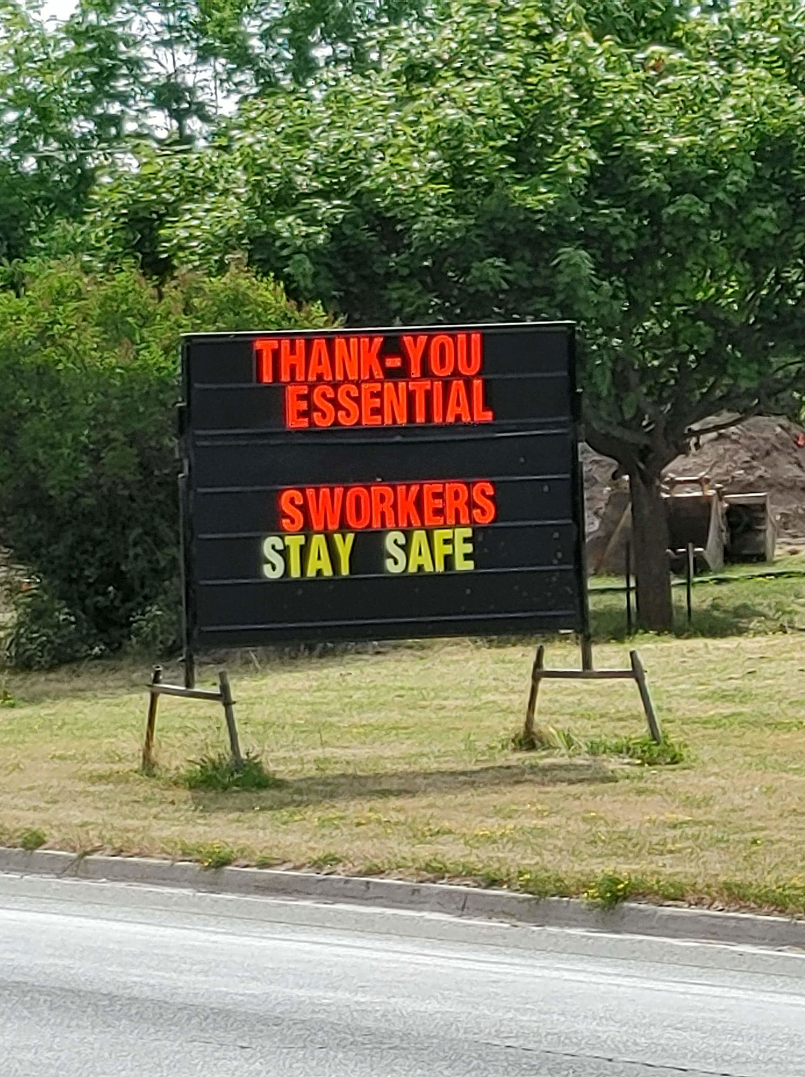 💸 Bₑₗₗₐdₒᵣₐ'ₛ Bᵢg Cₒₘfy Cₒᵤcₕ 💵 photo