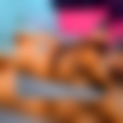 𝐹𝑙𝑜𝑟🌷😈 photo