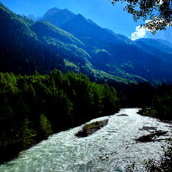 Stunning Scenery: A River Cruise Through a Forested Mountainside