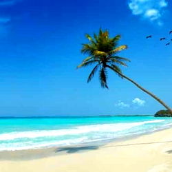 Aron smith 😎🙉 photo