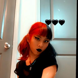 North American Model Autumn N