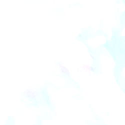 Curvy Pussycat photo