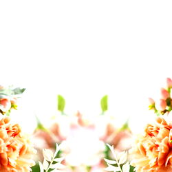 Harmony | FREE photo