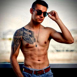 Fit and Tattooed Chihuahua Model Misio 469