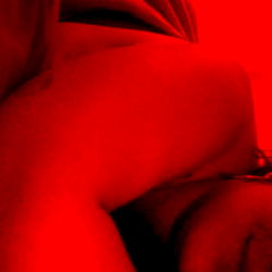 Vivid Imagery: A Journey of Art and Beauty