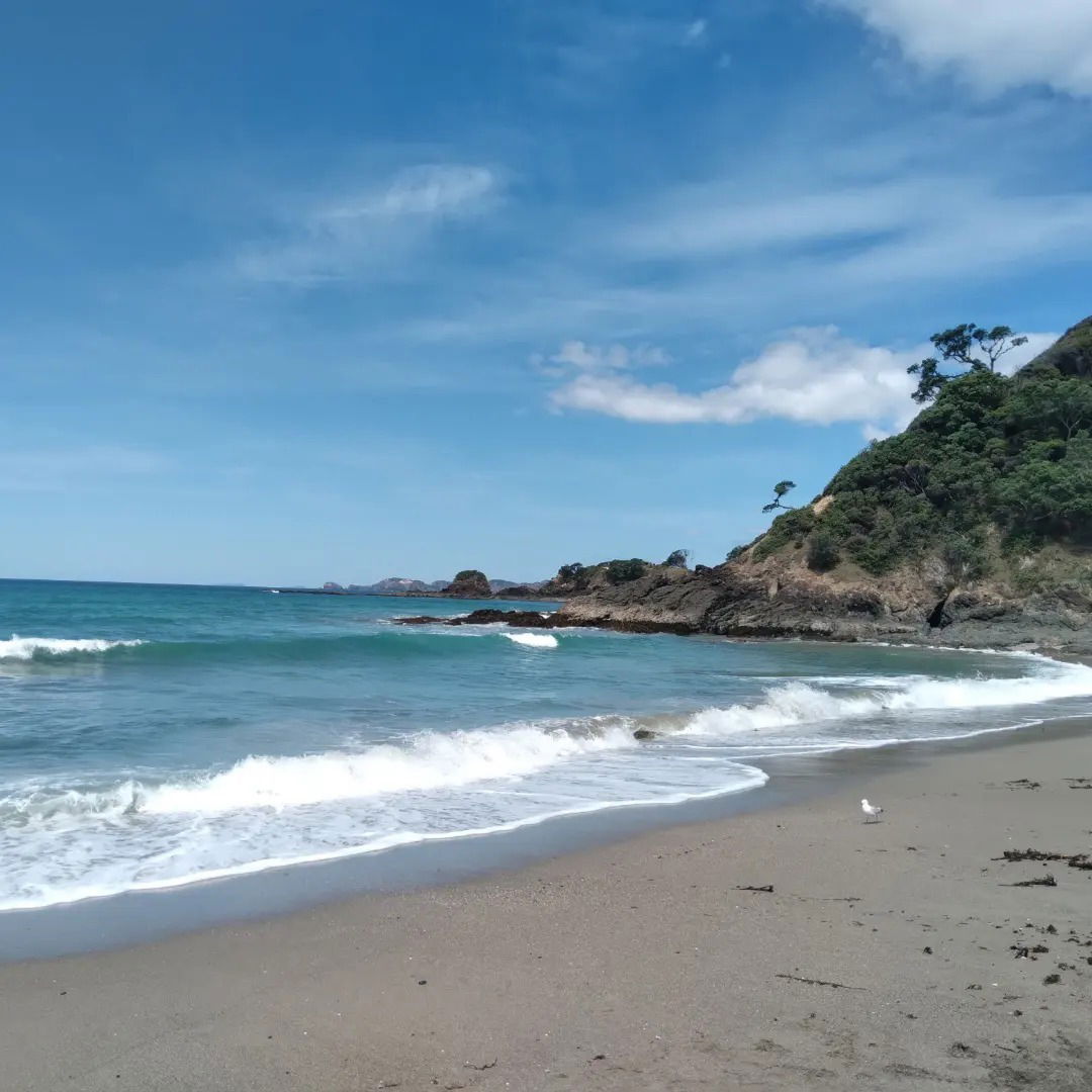 CanadianKosher photo