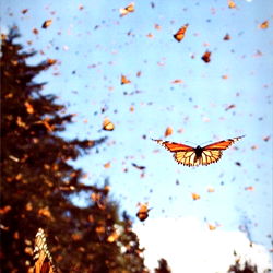 Moonbeam ๐ซ photo