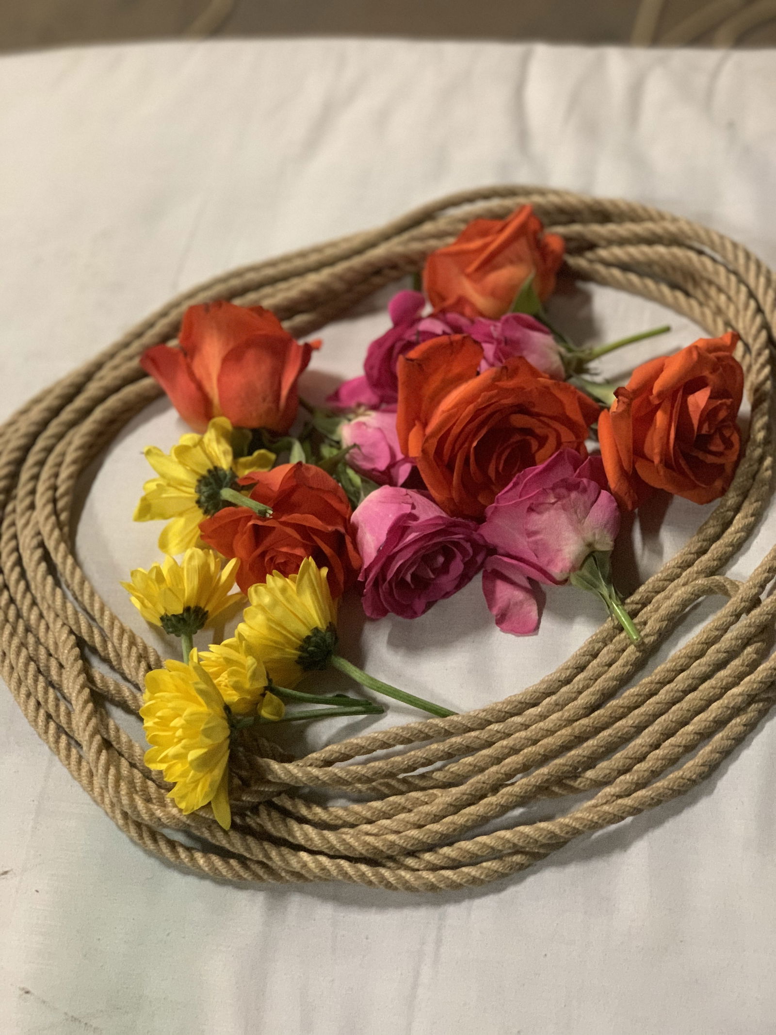 Let’s Get Knotty 😇🧶 photo