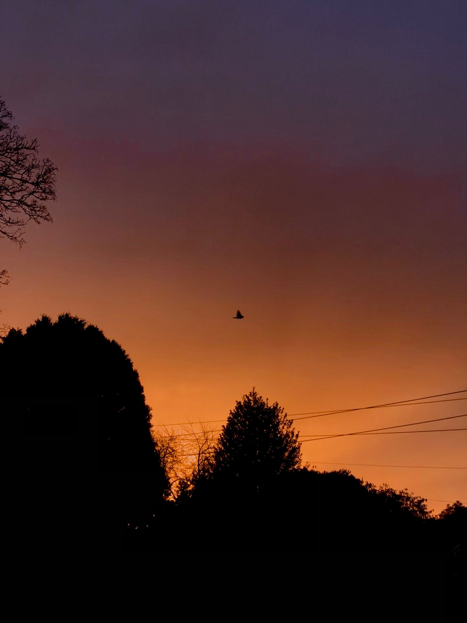 🤫🤫🤫🤫 photo