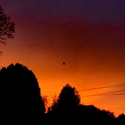 🤫🤫🤫🤫 photo