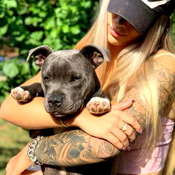 Pitbull Cuddle with Inked Tattoo Model