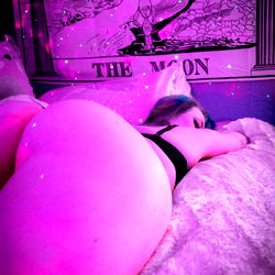 AURORA FOX 🦊 photo