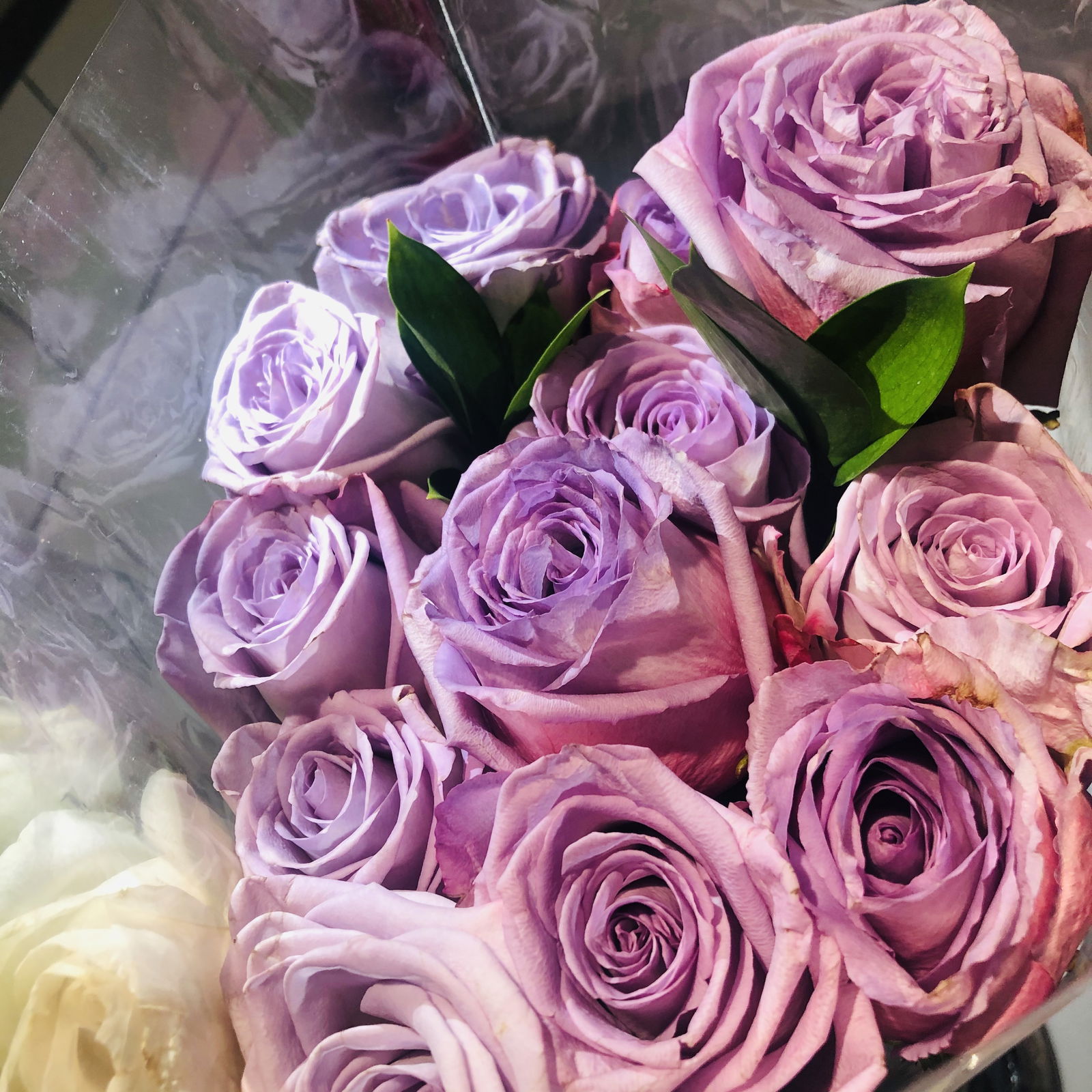 African Princess photo