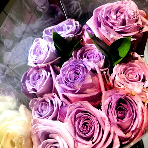 African Princess photo