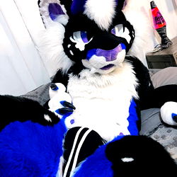 Striking Monstruo in Vibrant Blue and Black