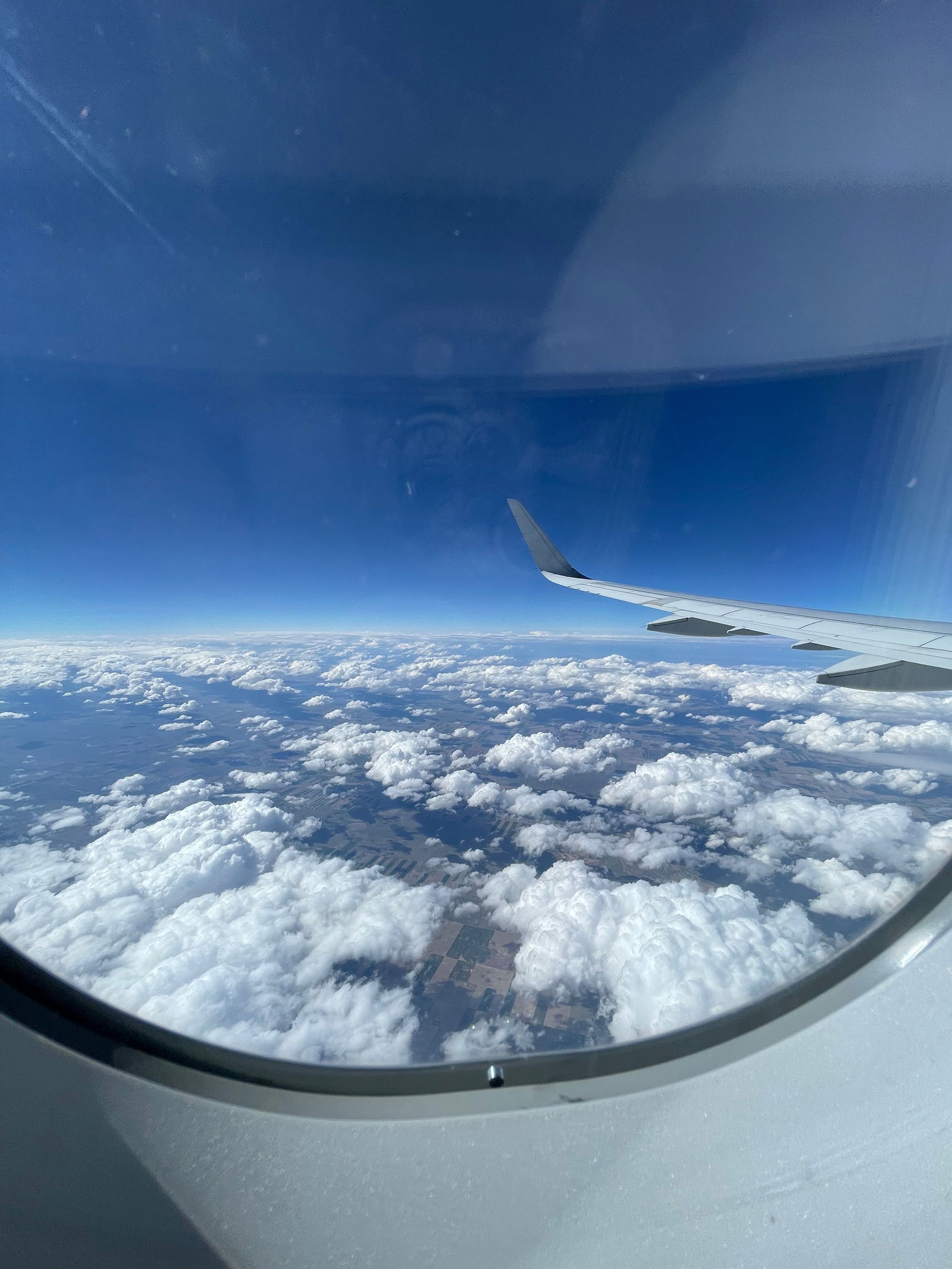 Alejandro Ramirez photo