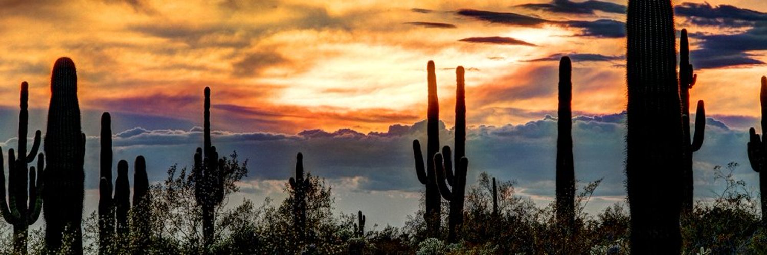 Alex Single HMO photo