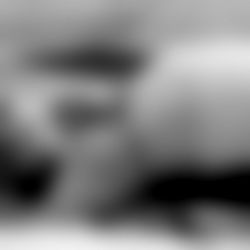 Scotty_Bukkake photo