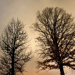 Creamycupcake🧁 photo