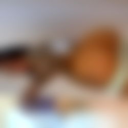 Bella Aurora ๐ซ photo