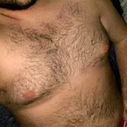 A Bear's Gym Scene - OnlyFans