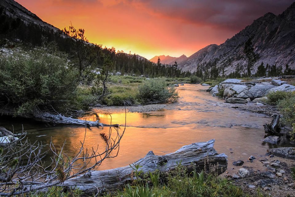 MommaBear6969_VIP photo