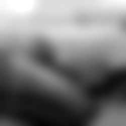 Little Bee โก Blue photo