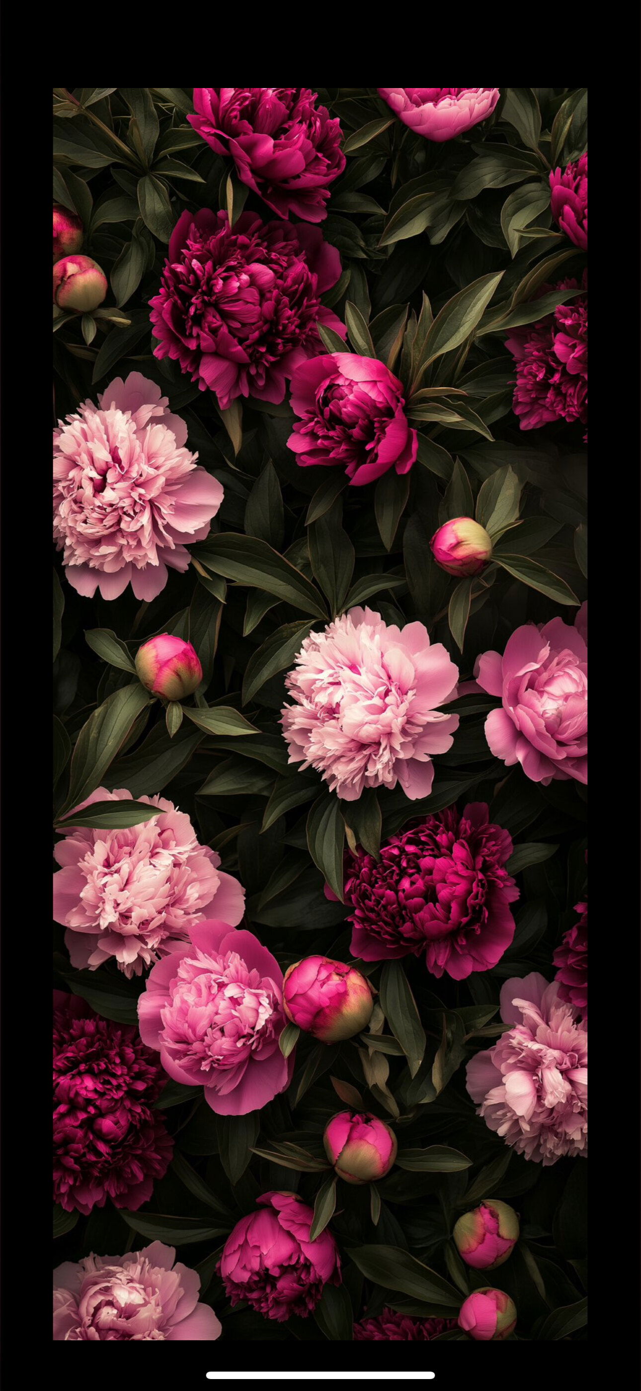 Daniel Mendoza photo