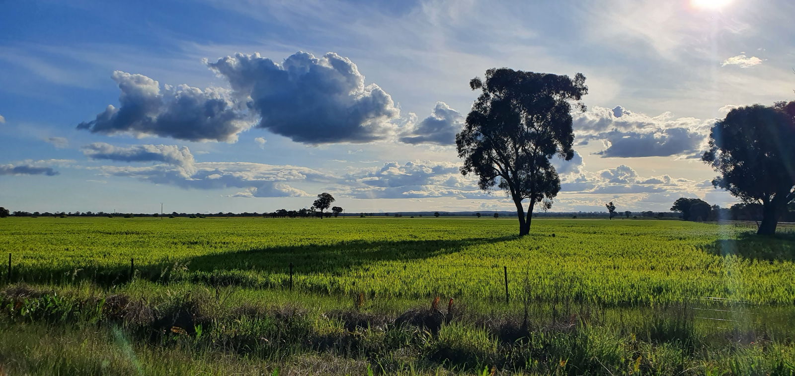 The High Country Fella photo