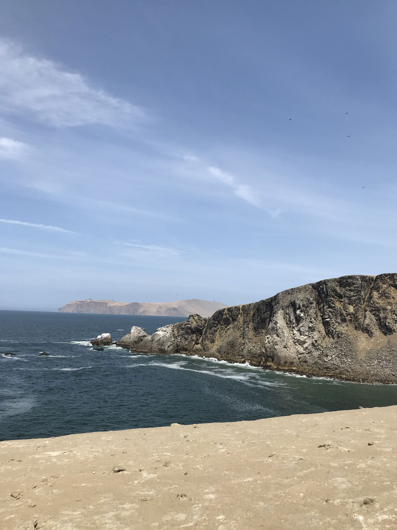 Gabriela de Maria photo