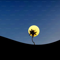 Andre Jordanson photo