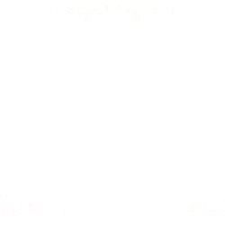 Model L's Elegant Pose