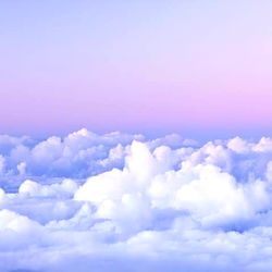 Big booty blondie photo