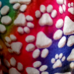 Onlyfans Model Photo Extract