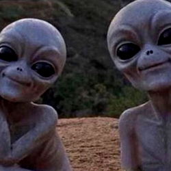 Brie ๐งฟ photo