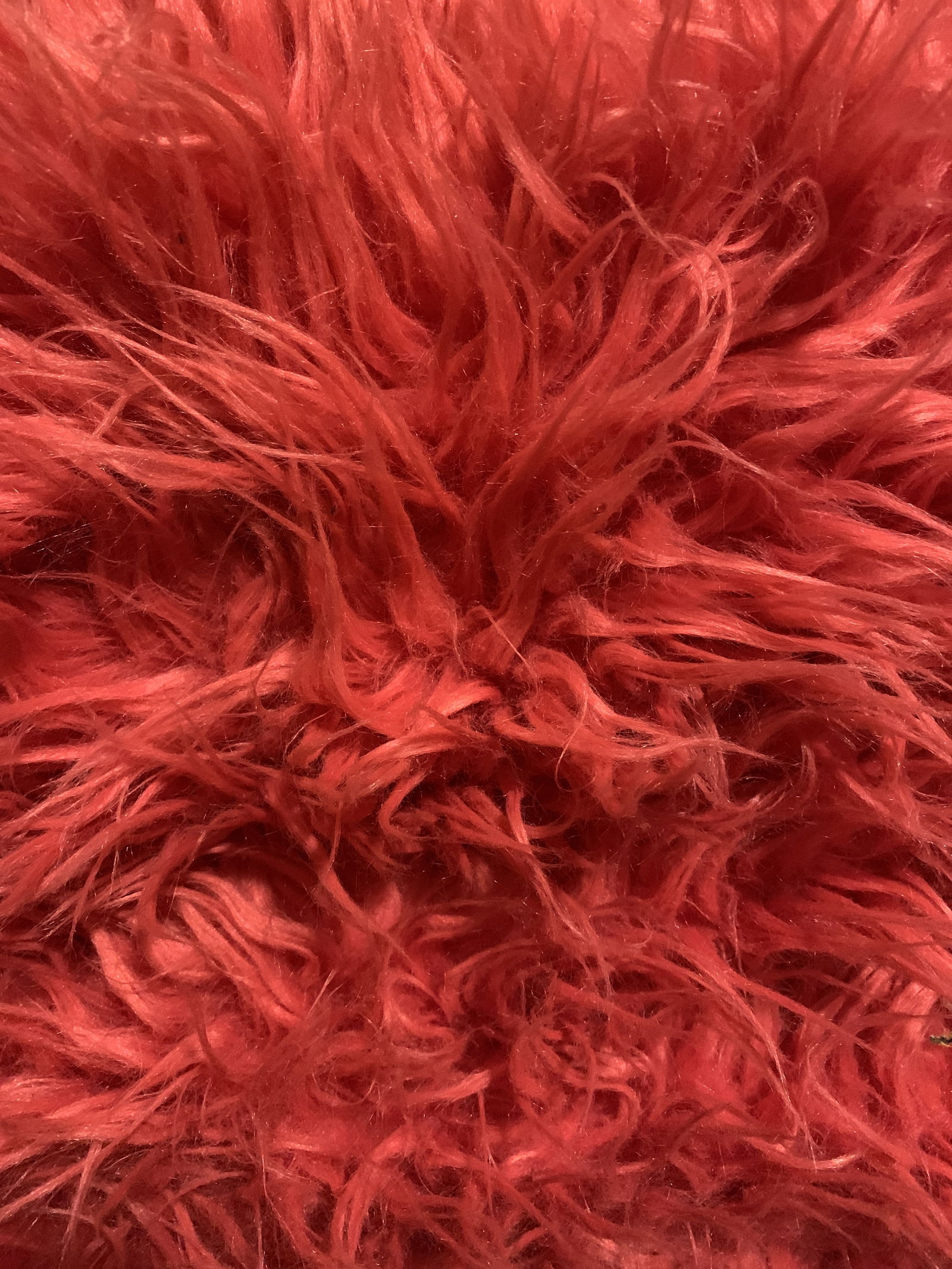 MacKenna Renea photo