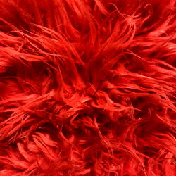 MacKenna Renea photo