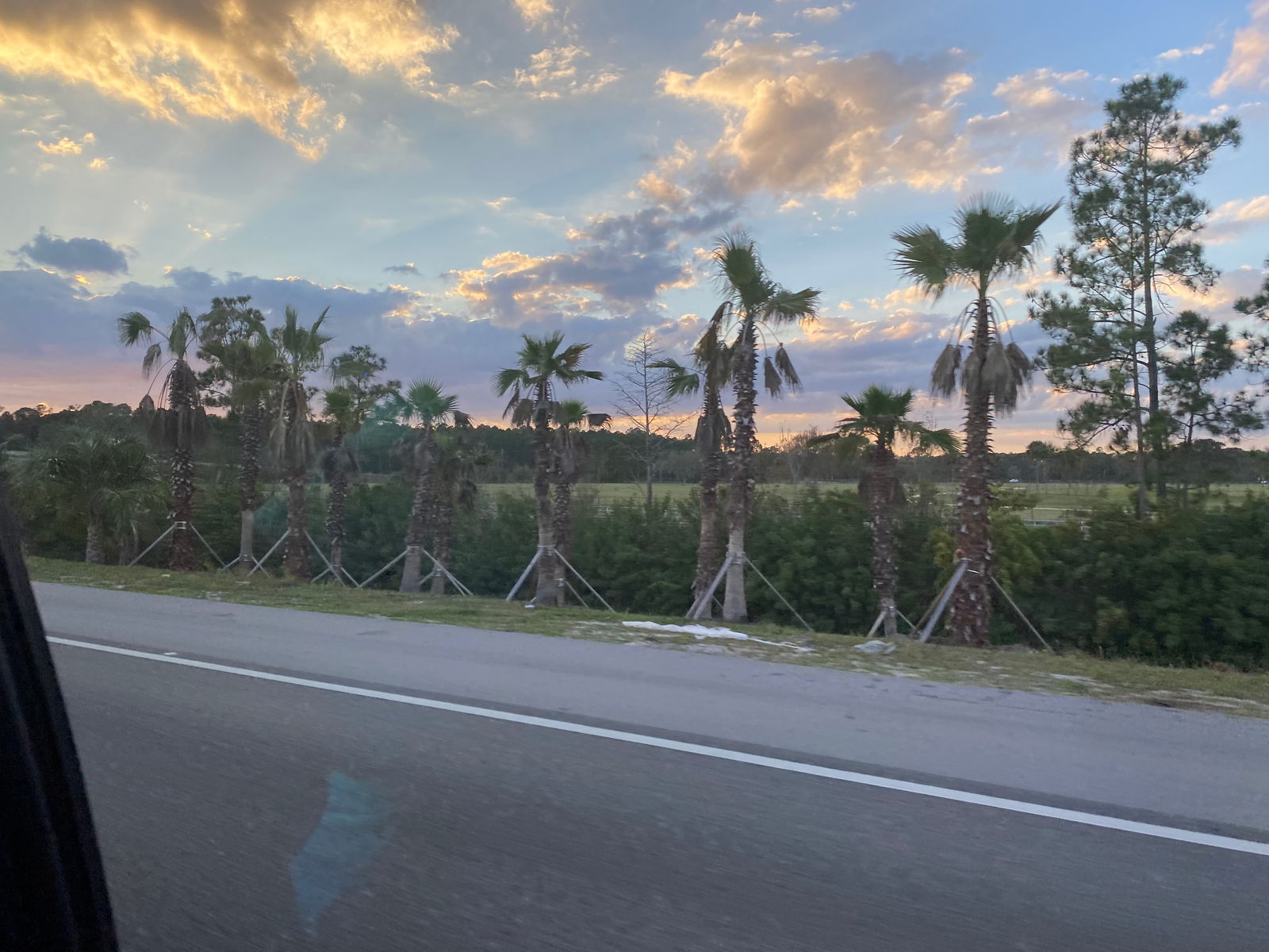 Lil CC 😋💦 photo