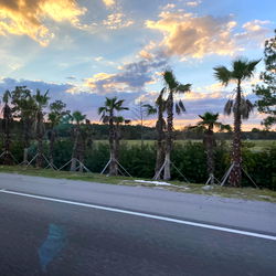 Lil CC ๐๐ฆ photo