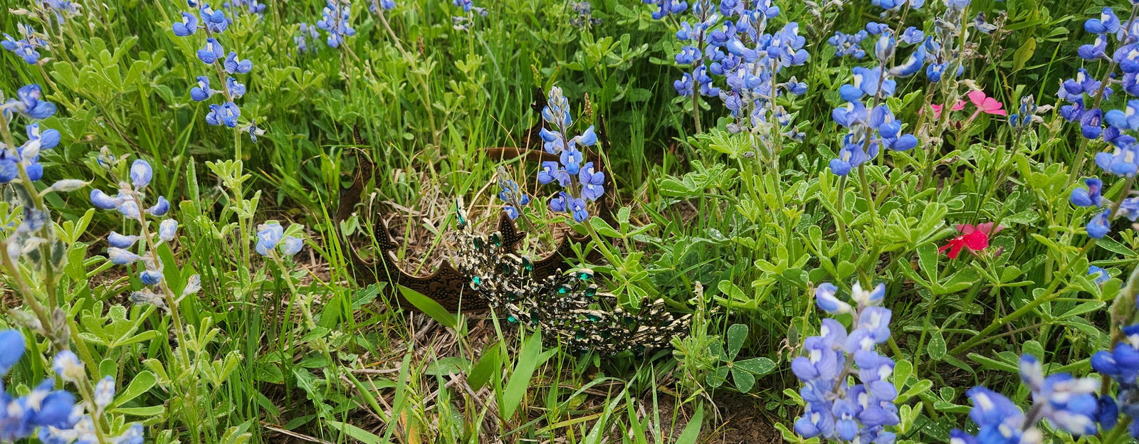 AltTabGamerGirl photo