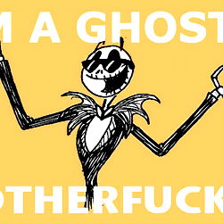 amelia consentine photo