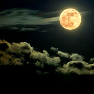 ะัััะฐะฒ ะญะปะฐะนะดะถะฐ photo