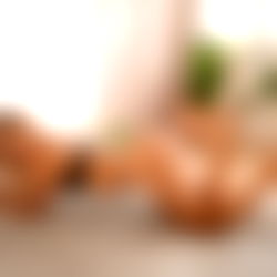 Melanie De Toni photo