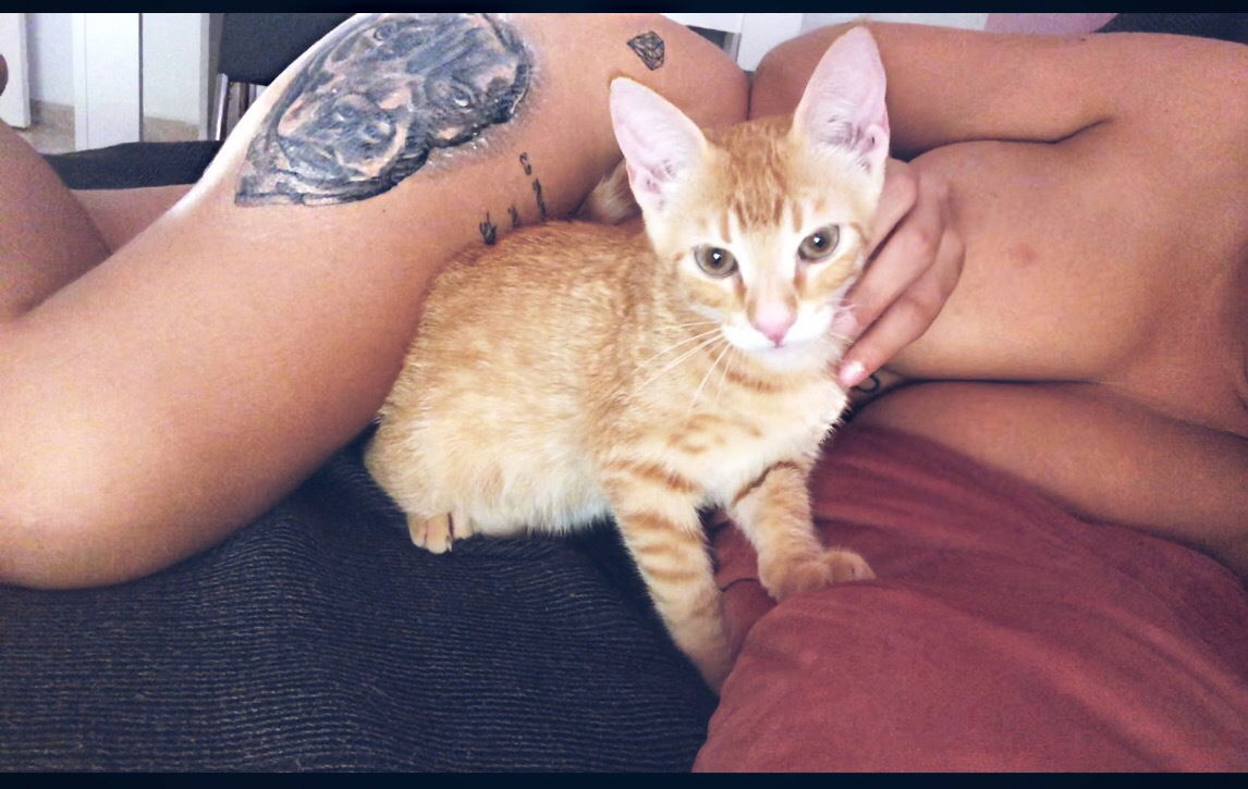 Curly no plastic photo