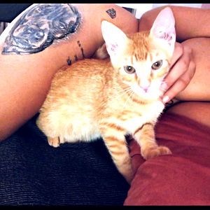 Curly no plastic photo