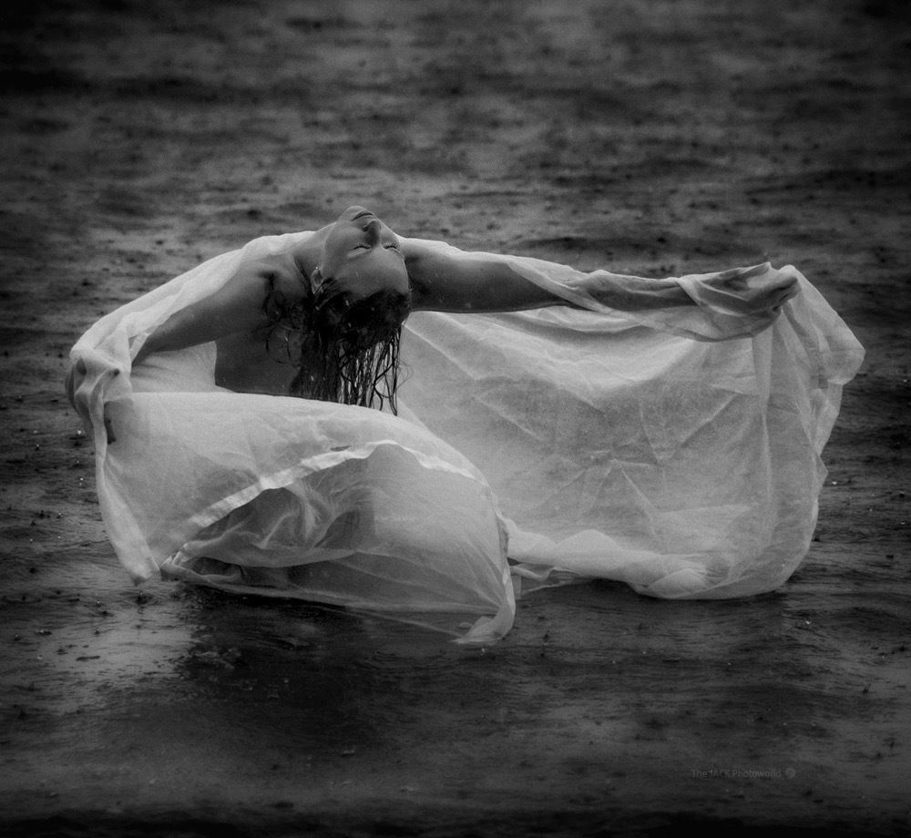 BendyTassieBarbie photo