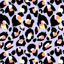 Alien.wallflower photo