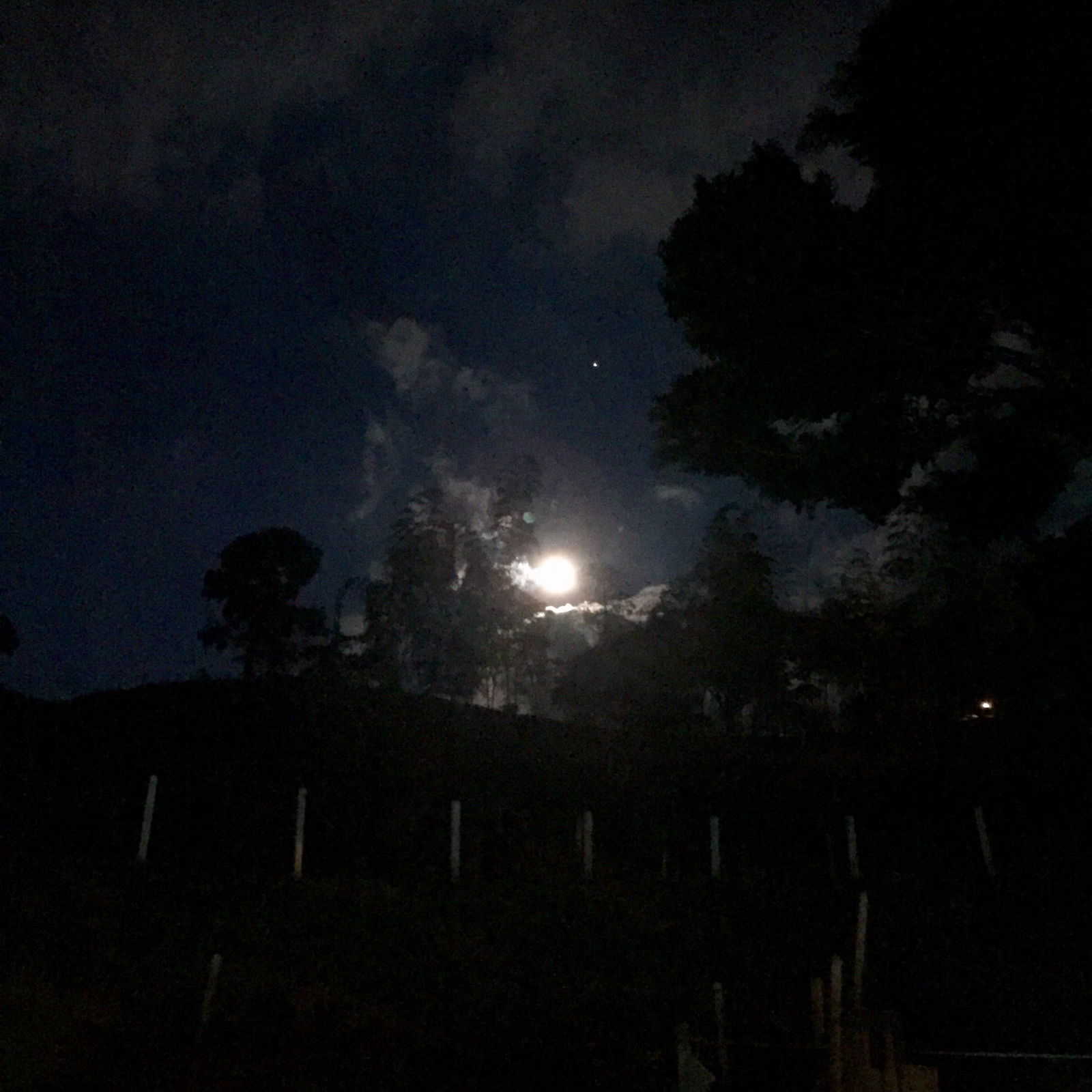 Alejandra Castillo photo