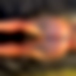 ๐บ๐จ๐ด๐บ๐ผ๐ฟ๐ฟ photo